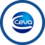 Ceva