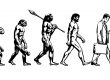 origem_evolucao